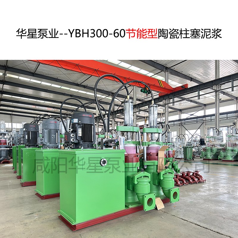 YBH300-60.jpg
